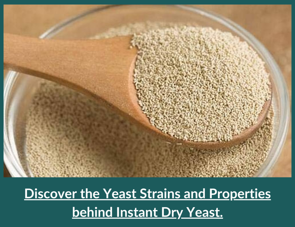 Discover the Yeast Strains and Properties behind Instant Dry Yeast.